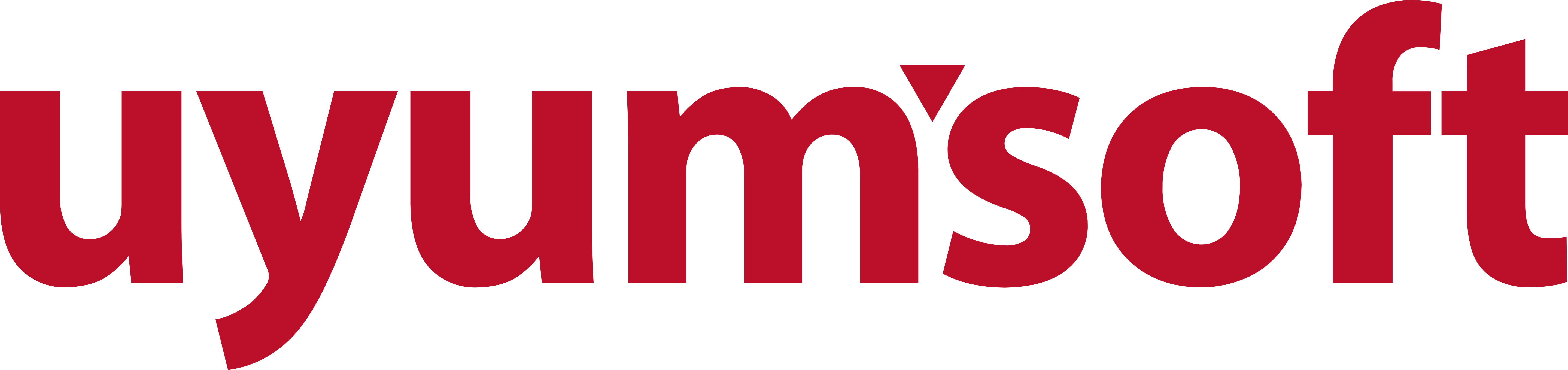 Muhasebe ve ERP Yazılımları